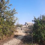 Satılır 14 otaqlı Bağ evi, Goradil, Abşeron rayonu 6