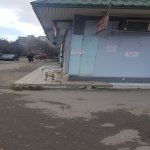 Kirayə (aylıq) Obyekt, Neftçilər metrosu, 8-ci kilometr, Nizami rayonu 13