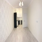 Аренда 2 комнатная Новостройка, м. 8 Ноябрь метро, Насими район 2