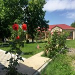 Kirayə (günlük) 1 otaqlı Həyət evi/villa Qəbələ 7
