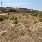 Satılır Torpaq, Saray, Abşeron rayonu 3