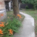 Kirayə (günlük) 3 otaqlı Həyət evi/villa Qəbələ 20