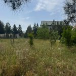 Satılır Torpaq, Şüvəlan, Xəzər rayonu 8