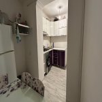 Аренда 3 комнатная Вторичка, м. Эльмляр Академиясы метро, пос. Ясамал, Ясамал район 8