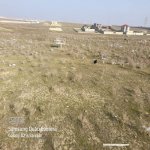 Satılır Torpaq, Saray, Abşeron rayonu 1
