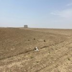 Satılır Torpaq, Novxanı, Abşeron rayonu 2