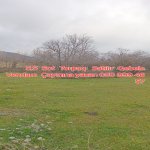 Satılır Torpaq Qəbələ 7
