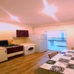 Kirayə (günlük) 2 otaqlı Həyət evi/villa, Keşlə qəs., Nizami rayonu 6