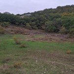 Satılır Torpaq Xızı 2