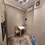 Kirayə (aylıq) 3 otaqlı Yeni Tikili, Gənclik metrosu, Nəsimi rayonu 12