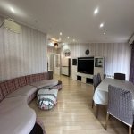 Kirayə (aylıq) 3 otaqlı Yeni Tikili, Nəriman Nərimanov metrosu, Nərimanov rayonu 2