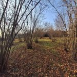 Satılır Torpaq Qəbələ 1