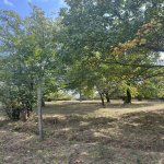 Satılır Torpaq Qəbələ 2