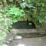 Kirayə (günlük) 3 otaqlı Həyət evi/villa Lerik 5