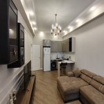 Kirayə (aylıq) 2 otaqlı Yeni Tikili, 28 May metrosu, Nərimanov rayonu 1