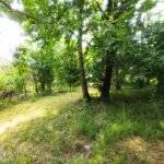 Продажа Участок Гябяля 6