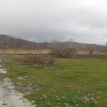 Satılır Torpaq Qəbələ 8