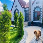 Kirayə (aylıq) 4 otaqlı Bağ evi, Mərdəkan, Xəzər rayonu 3