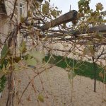 Satılır 6 otaqlı Həyət evi/villa, Koroğlu metrosu, Bilgəh qəs., Sabunçu rayonu 6
