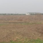 Satılır Torpaq Ağcabədi 4