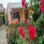Kirayə (günlük) 2 otaqlı Həyət evi/villa Qusar 1