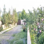 Kirayə (günlük) 8 otaqlı Həyət evi/villa Qəbələ 28