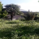 Kirayə (günlük) 3 otaqlı Bağ evi Şəki 9