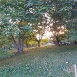 Satılır 4 otaqlı Həyət evi/villa Şəki 6