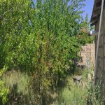 Kirayə (aylıq) 5 otaqlı Bağ evi, Novxanı, Abşeron rayonu 7