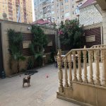 Kirayə (aylıq) 4 otaqlı Həyət evi/villa, İnşaatçılar metrosu, Yeni Yasamal qəs., Yasamal rayonu 6