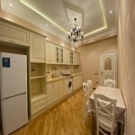 Kirayə (aylıq) 2 otaqlı Yeni Tikili, Nəriman Nərimanov metrosu, Nərimanov rayonu 11