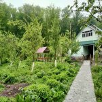 Kirayə (günlük) 5 otaqlı Həyət evi/villa Qusar 7