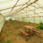 Satılır Torpaq Şamaxı 21