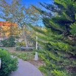 Satılır 6 otaqlı Bağ evi, Bilgəh qəs., Sabunçu rayonu 37