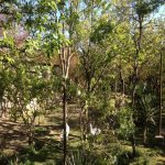 Satılır 5 otaqlı Həyət evi/villa, Əhmədli metrosu, kənd Əhmədli, Xətai rayonu 18
