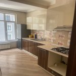 Kirayə (aylıq) 2 otaqlı Yeni Tikili, 28 May metrosu, Nəsimi rayonu 7