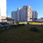 Kirayə (aylıq) 3 otaqlı Yeni Tikili, Koroğlu metrosu, Böyükşor qəs., Olimpia Stadionu, Nərimanov rayonu 33