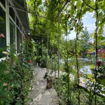 Kirayə (günlük) 4 otaqlı Həyət evi/villa Qəbələ 8