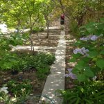 Satılır 5 otaqlı Həyət evi/villa, Avtovağzal metrosu, Biləcəri qəs., Binəqədi rayonu 5