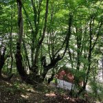 Kirayə (günlük) 4 otaqlı Yeni Tikili Qəbələ 30