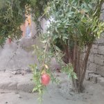 Satılır 3 otaqlı Həyət evi/villa, Binə qəs., Xəzər rayonu 21