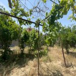 Kirayə (aylıq) 4 otaqlı Bağ evi, Şüvəlan, Xəzər rayonu 11