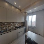 Kirayə (aylıq) 3 otaqlı Yeni Tikili, Gənclik metrosu, Nəsimi rayonu 15