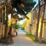 Satılır Torpaq, Maştağa qəs., Sabunçu rayonu 18