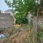 Satılır Torpaq, Binə qəs., Xəzər rayonu 8