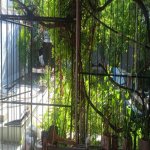 Satılır 7 otaqlı Həyət evi/villa Gəncə 10