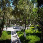 Kirayə (aylıq) Mini otel / Xostel, Lökbatan qəs., Qaradağ rayonu 14