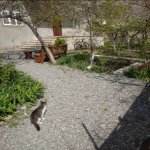 Satılır 5 otaqlı Həyət evi/villa, Avtovağzal metrosu, Biləcəri qəs., Binəqədi rayonu 8