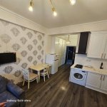 Аренда 1 комнат Новостройка, м. 20 Января метро, пос. Ясамал, Ясамал район 3