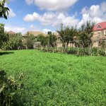 Продажа Участок, пос. Маштага, Сабунчу район 4